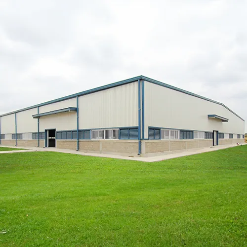 Pre Engineered Steel Buildings